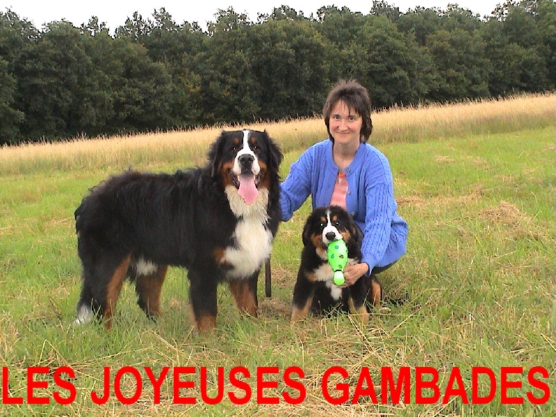 Basile Des joyeuses gambades